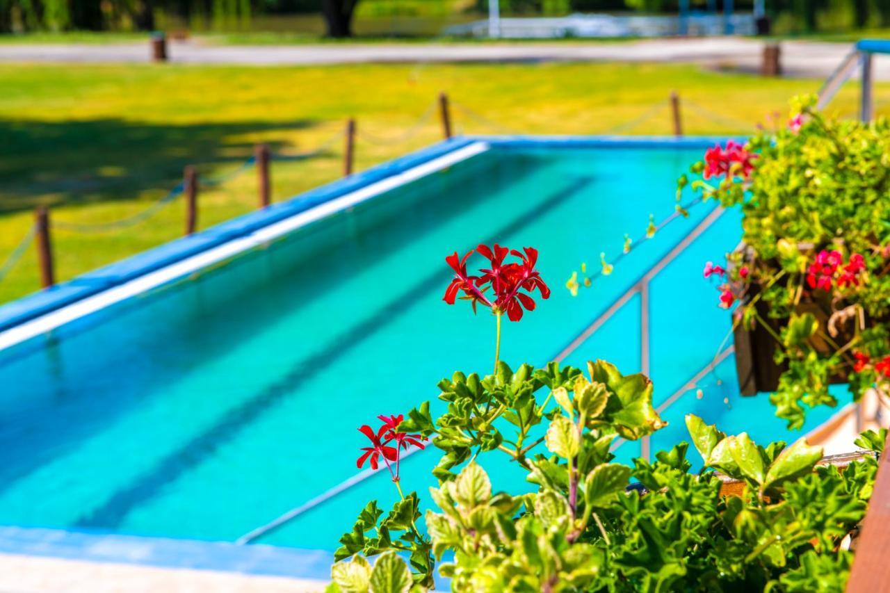 Zichy Park Hotel Bikács Dış mekan fotoğraf