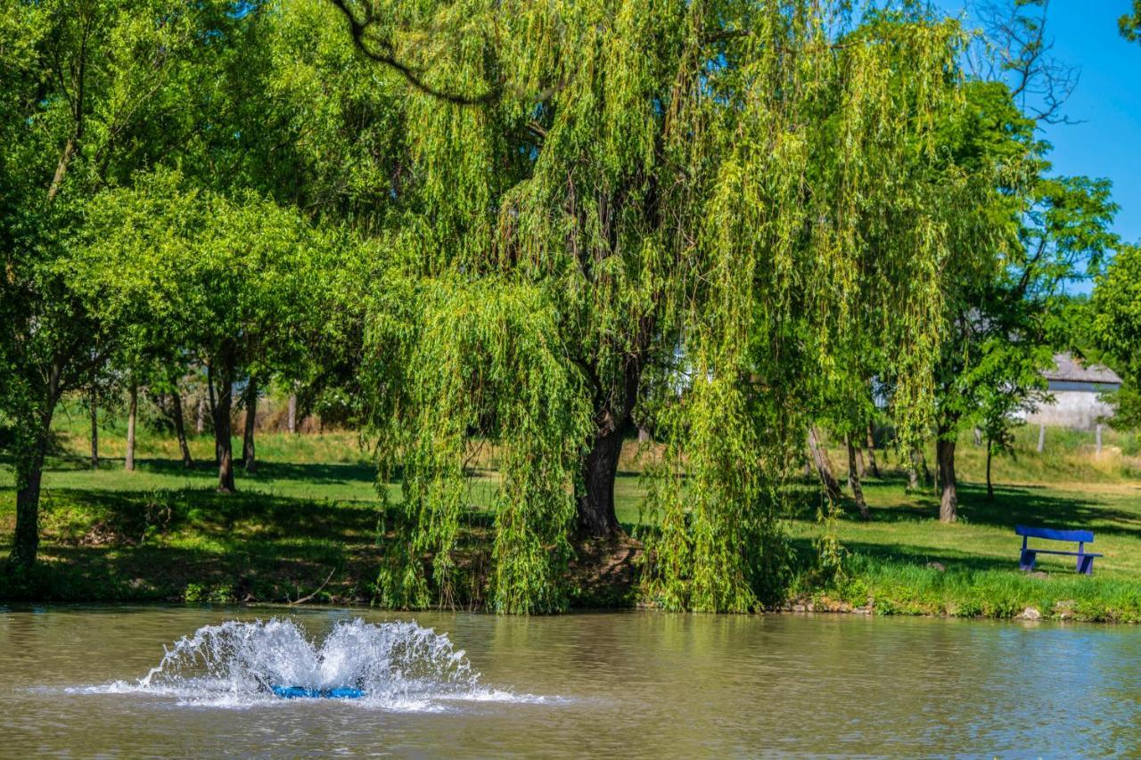 Zichy Park Hotel Bikács Dış mekan fotoğraf