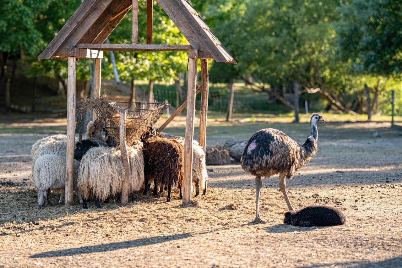 Zichy Park Hotel Bikács Dış mekan fotoğraf